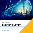 The-Role-of-Energy-Supply-in-National-Productivity-Growth-Online-2025
